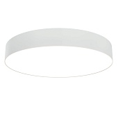 Потолочный светильник Technical  C032CL-L48W3K