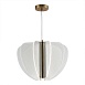 Светильник подвесной ST-Luce Золотистый/Прозрачный LED 1*45W 4000K SL6509.203.01 - фото
