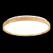 Светильник потолочный Светлое дерево/Белый LED 1*40W 3000K/4000K/6000K SLE201382-01 - фото