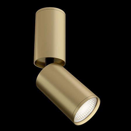 Потолочный светильник Technical FOCUS S C051CL-01MG - фото