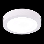 Светильник настенно-потолочный Белый LED 1*12W 4000K 795Lm Ra80 120° IP20 D160xH28 90-2 ST112.542.12