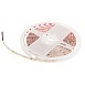 10363/12065 WW LED Светодиодная лента LOFT IT Strip 5m, 9,6W/m, 24V, 3000K, IP65 - фото