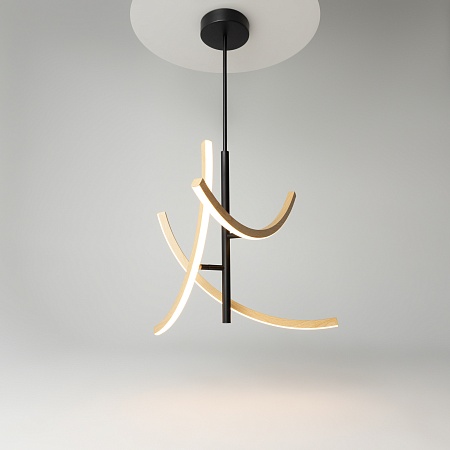 Подвесной светильник Maytoni MOD428PL-L20BK - фото