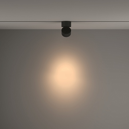 Трековый светильник Technical Yin TR084-1-15W3K-D-B - фото