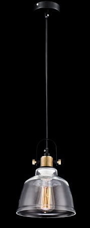 Подвесной светильник Maytoni Irving T163-11-W - фото