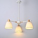 Потолочная Люстра На Штанге Natura A White 3 Imperiumloft 101826-26 - фото