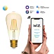 Светодиодная лампа Gauss SMART HOME ST64 6,5W 720Lm 2000-5500K E27 1310112 - фото