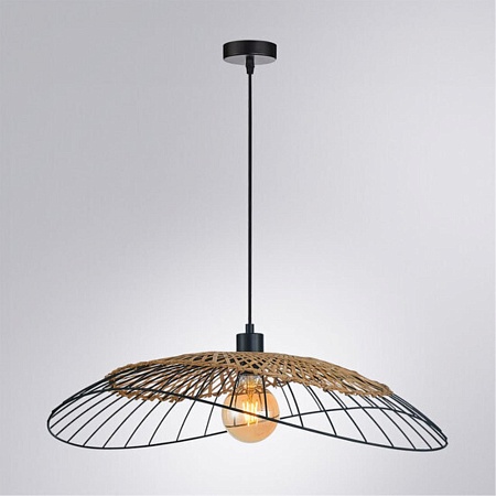 Подвесной светильник Arte Lamp WOODSTOCK A7061SP-1BK - фото
