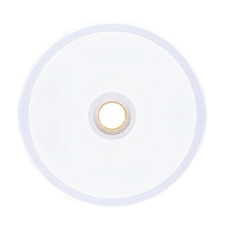 Точечный встраиваемый светильник ARTE LAMP A2517PL-2WH - фото
