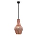 Подвесной светильник Maytoni Tommy P056PL-01B - фото