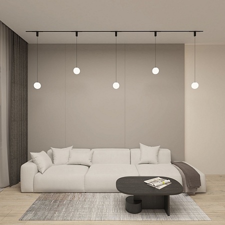 Светильник на шине Denkirs SMART MOON DK8052-BK - фото