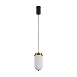 Подвесной светильник Freya FR5627PL-L8BBS - фото