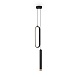 Подвесной светильник Freya FR6082PL-L23B - фото