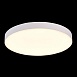 Светильник потолочный Белый LED 1*96W 3000K 8 640Lm Ra>85 120° IP20 D600xH55 185-265V ST606.532.96 - фото
