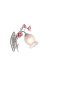 Lucia Tucci Fiori di rose W106.1
