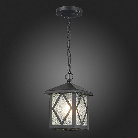 Светильник уличный подвесной ST-Luce Черный/Черный, Прозрачный E27 1*60W SL084.403.01 - фото