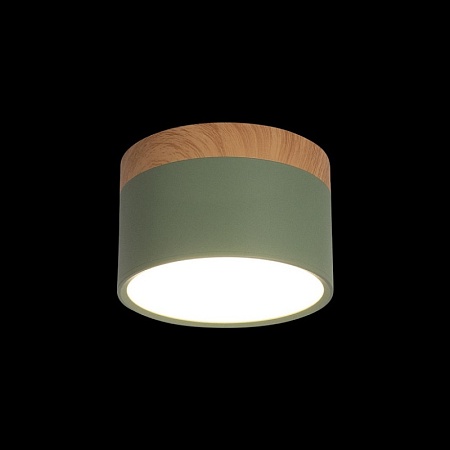 10162 Green Накладной светильник LOFT IT Grape - фото