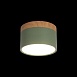 10162 Green Накладной светильник LOFT IT Grape - фото