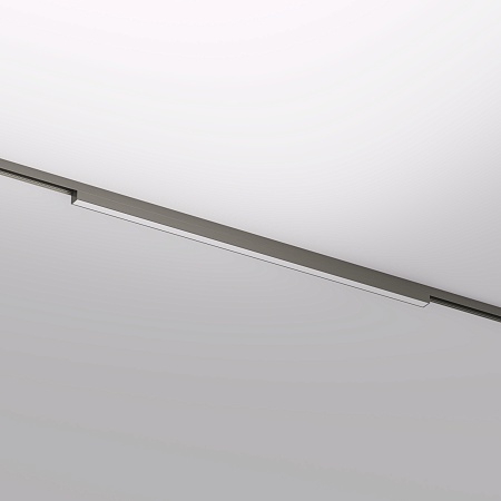 Светильник на шине Denkirs SHINE LINEAR DK5752-DN - фото