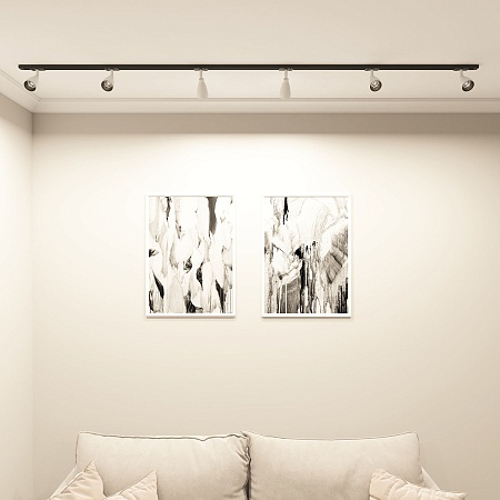 Светильник на шине Denkirs BELL DK6050-BW+BK - фото