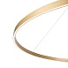 Подвесной светильник Maytoni Rim MOD058PL-L65BS4K - фото