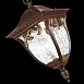 Светильник уличный подвесной ST-Luce Кофейный/Кофейный, Прозрачный E27 1*60W SL083.703.01 - фото