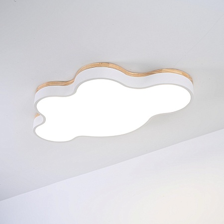 Потолочный Светильник Cloud Eco D83 White Imperiumloft 189502-26 - фото