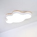 Потолочный Светильник Cloud Eco D83 White Imperiumloft 189502-26 - фото