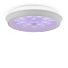 Потолочный светильник Freya Cells FR10012CL-L24W - фото