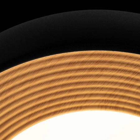 10255/350 Black Потолочный светильник LOFT IT Folk - фото