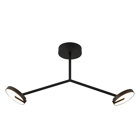 Потолочная люстра Favourite 4401-2C - фото