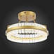 Светильник потолочный ST-Luce Матовое золото/Прозрачный LED 1*34W 3000K SL383.202.01 - фото