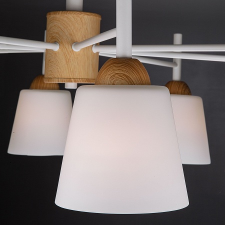 Потолочный светильник Eurosvet 70085/8 белый - фото