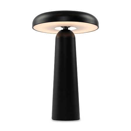 Аккумуляторный светильник Freya FR6109TL-L4B - фото