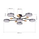 Светильник потолочный Серый/Серый LED 6*12W 3000K/4500K/6000K SLE6006-702-06 - фото