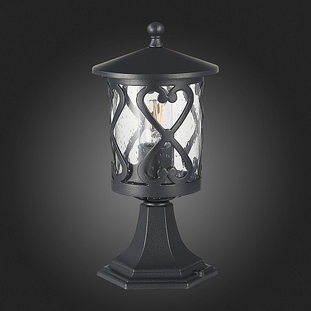 Светильник уличный наземный ST-Luce Черный/Черный, Прозрачный E27 1*60W SL085.405.01 - фото