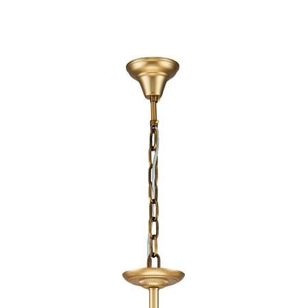 Подвесная люстра Favourite 2621-8P - фото