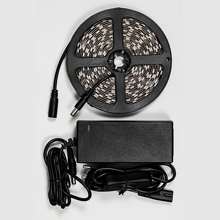 Светодиодная LED лента Feron LS606, 60SMD(5050)/m 14.4W/m 12V 3m 6500К с адаптером с вилкой в комплекте - фото