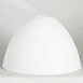 Торшер Lussole FLAGSTAFF LSP-0630 - фото