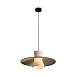 Подвесной светильник Freya Fly FR5489PL-01GT - фото