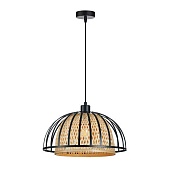 Подвесной светильник Arte Lamp WOODSTOCK A7071SP-1BK