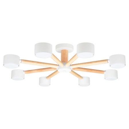 Потолочная люстра Arte Lamp TENDA A1624PL-8WH - фото
