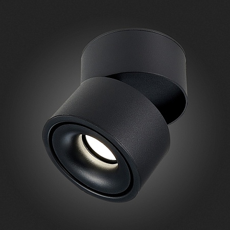 Светильник потолочный Черный LED 1*12W 3000K 1 000Lm Ra>90 36° IP20 D100xH105 170-240VV ST652.432.12 - фото
