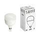 Лампа светодиодная SAFFIT SBHP1040 E27 40W 230V 6400K - фото