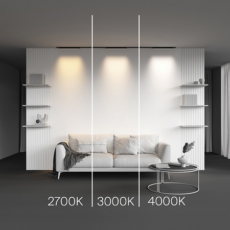 Трековый светильник Technical BASIS TR192-1-12W3K-B - фото