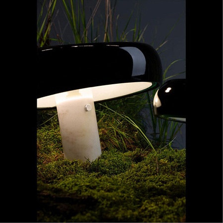 Декоративная настольная лампа Divinare 1083/06 TL-2 - фото