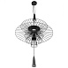 10141/600 Black Подвесной светильник LOFT IT Star - фото