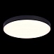 Светильник потолочный Черный LED 1*96W 3000K 8 640Lm Ra>85 120° IP20 D600xH55 185-265V ST606.432.96 - фото
