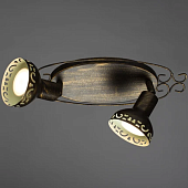 Спот Arte Lamp FOCUS A5219AP-2BR