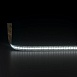 Светодиодная лента 24 В 24 Вт/м 240 Led/м 2835 IP20, дневной белый 4200K, 5 м Лента светодиодная 24V 24W 240Led 2835 IP20 дневной белый, 5м Elektrostandard - фото